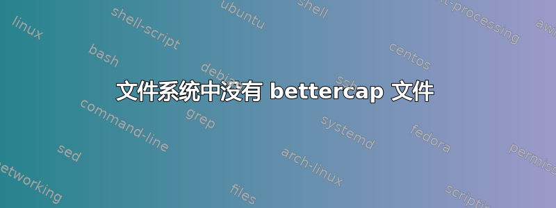 文件系统中没有 bettercap 文件