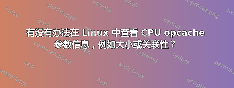 有没有办法在 Linux 中查看 CPU opcache 参数信息，例如大小或关联性？