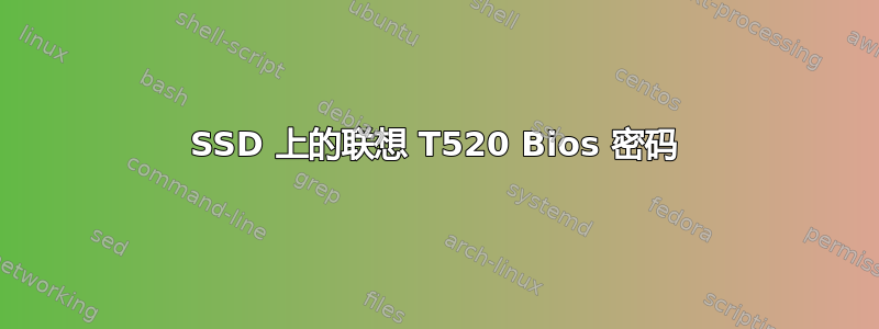 SSD 上的联想 T520 Bios 密码