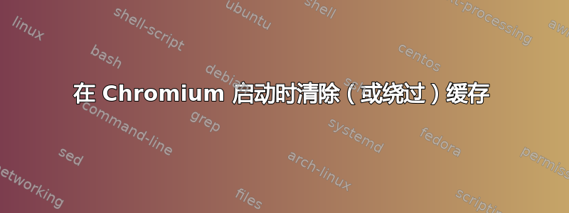 在 Chromium 启动时清除（或绕过）缓存