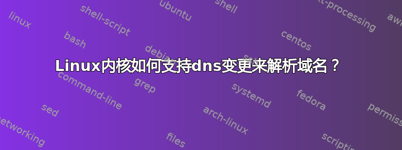 Linux内核如何支持dns变更来解析域名？