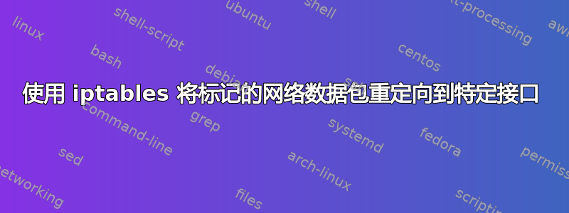 使用 iptables 将标记的网络数据包重定向到特定接口