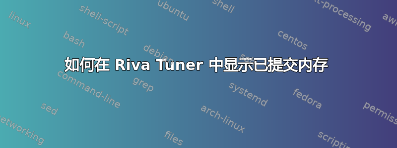 如何在 Riva Tuner 中显示已提交内存