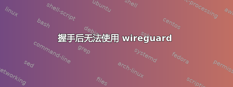 握手后无法使用 wireguard