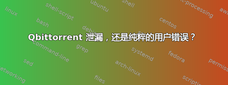 Qbittorrent 泄漏，还是纯粹的用户错误？