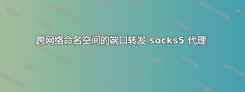 跨网络命名空间的端口转发 socks5 代理