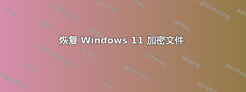 恢复 Windows 11 加密文件