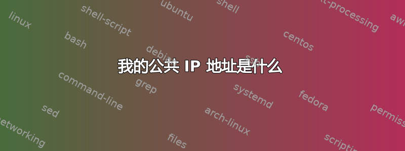 我的公共 IP 地址是什么