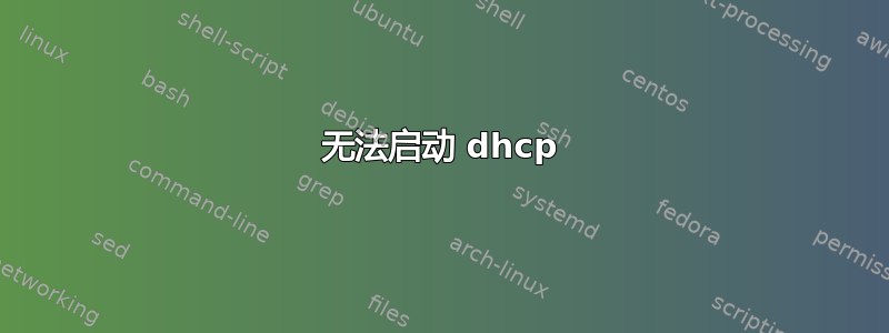 无法启动 dhcp