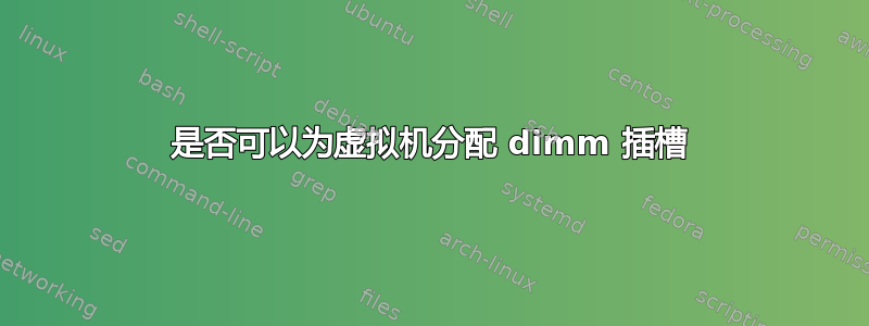 是否可以为虚拟机分配 dimm 插槽