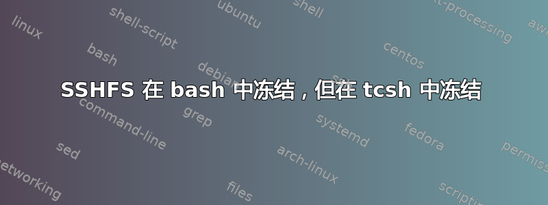 SSHFS 在 bash 中冻结，但在 tcsh 中冻结