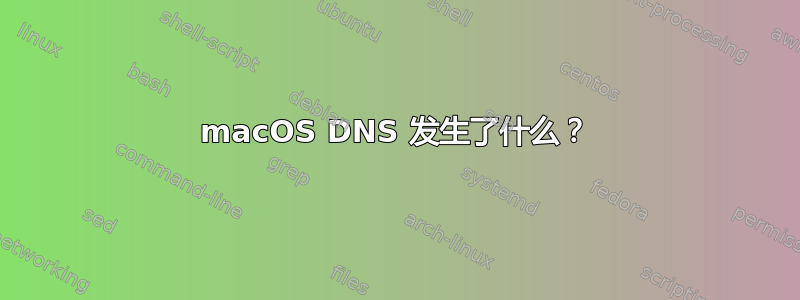 macOS DNS 发生了什么？