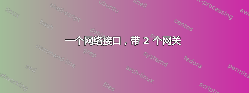 一个网络接口，带 2 个网关