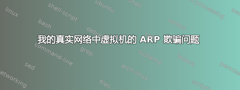 我的真实网络中虚拟机的 ARP 欺骗问题