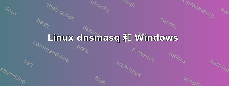 Linux dnsmasq 和 Windows