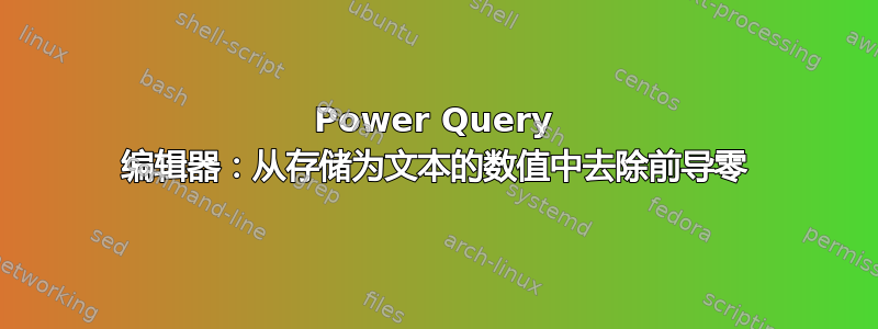 Power Query 编辑器：从存储为文本的数值中去除前导零