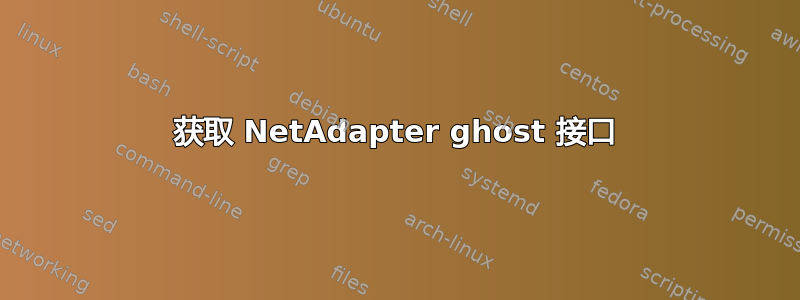 获取 NetAdapter ghost 接口