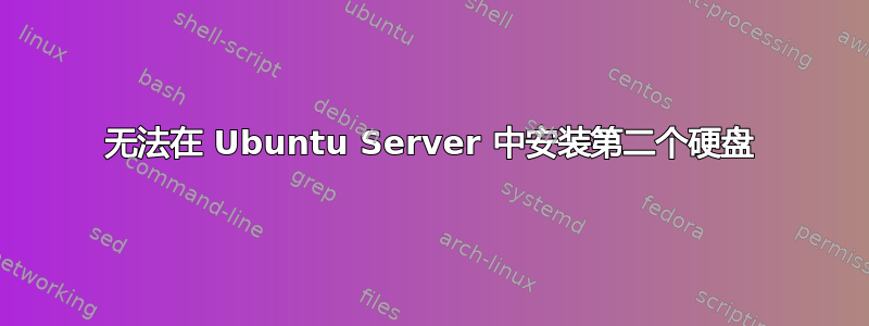 无法在 Ubuntu Server 中安装第二个硬盘