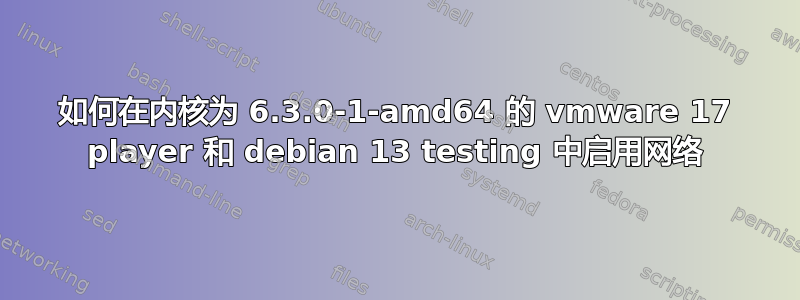 如何在内核为 6.3.0-1-amd64 的 vmware 17 player 和 debian 13 testing 中启用网络