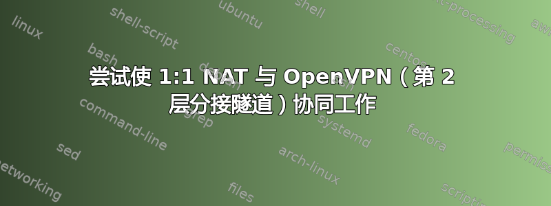 尝试使 1:1 NAT 与 OpenVPN（第 2 层分接隧道）协同工作