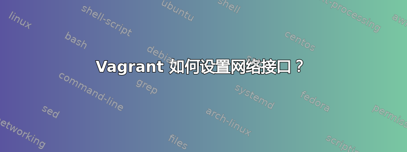 Vagrant 如何设置网络接口？