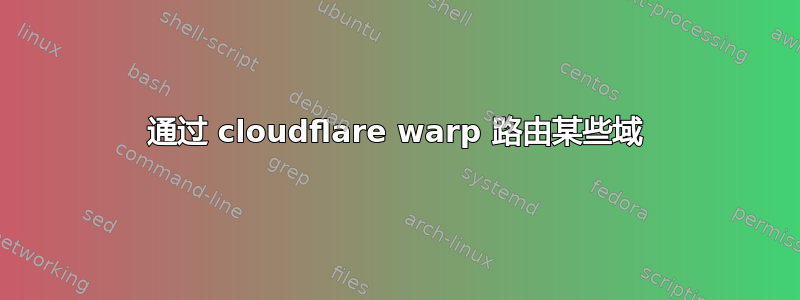 通过 cloudflare warp 路由某些域