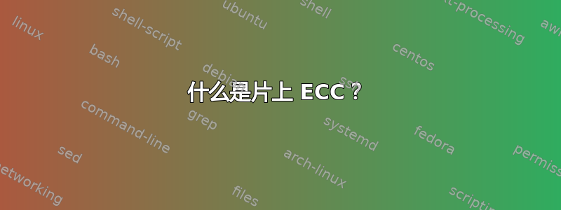 什么是片上 ECC？