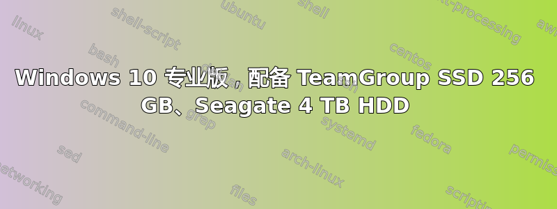 Windows 10 专业版，配备 TeamGroup SSD 256 GB、Seagate 4 TB HDD