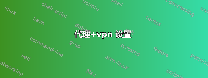 代理+vpn 设置