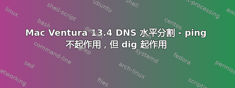 Mac Ventura 13.4 DNS 水平分割 - ping 不起作用，但 dig 起作用