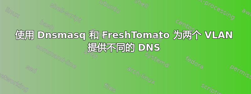 使用 Dnsmasq 和 FreshTomato 为两个 VLAN 提供不同的 DNS