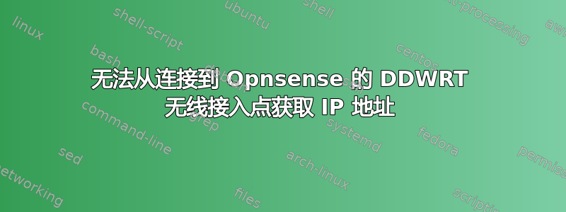 无法从连接到 Opnsense 的 DDWRT 无线接入点获取 IP 地址