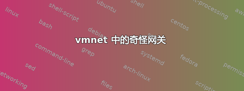 vmnet 中的奇怪网关