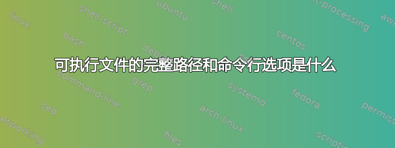 可执行文件的完整路径和命令行选项是什么