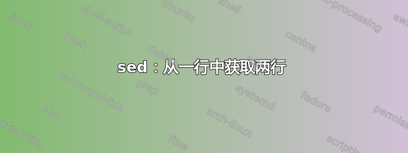 sed：从一行中获取两行