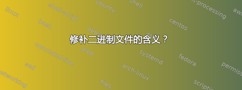 修补二进制文件的含义？