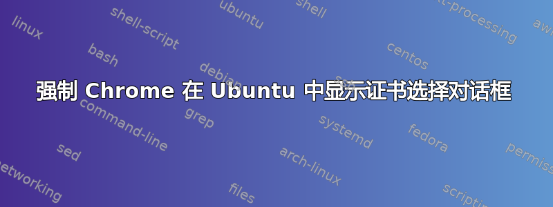 强制 Chrome 在 Ubuntu 中显示证书选择对话框