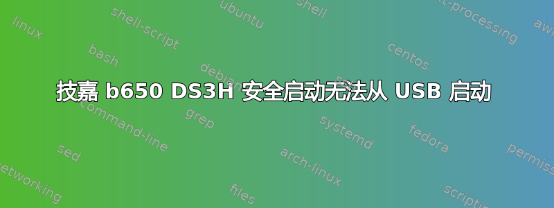 技嘉 b650 DS3H 安全启动无法从 USB 启动