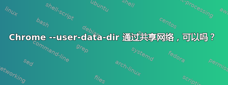 Chrome --user-data-dir 通过共享网络，可以吗？