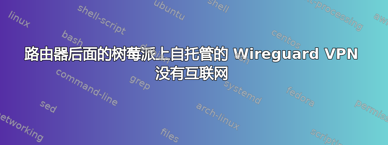 路由器后面的树莓派上自托管的 Wireguard VPN 没有互联网