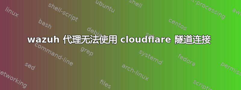 wazuh 代理无法使用 cloudflare 隧道连接