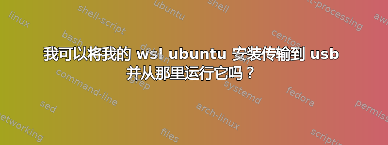 我可以将我的 wsl ubuntu 安装传输到 usb 并从那里运行它吗？