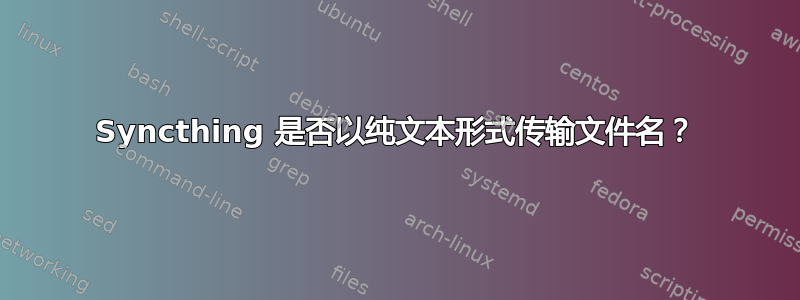 Syncthing 是否以纯文本形式传输文件名？