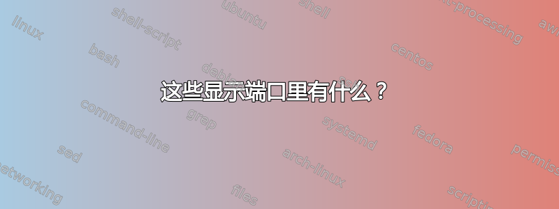 这些显示端口里有什么？