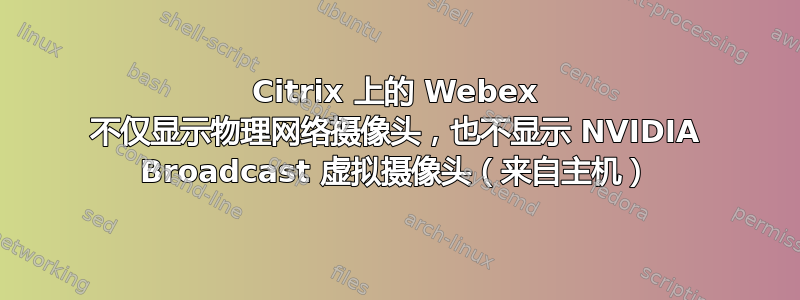 Citrix 上的 Webex 不仅显示物理网络摄像头，也不显示 NVIDIA Broadcast 虚拟摄像头（来自主机）