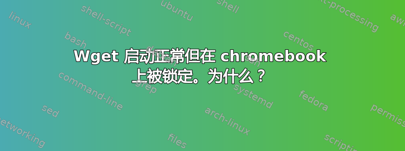 Wget 启动正常但在 chromebook 上被锁定。为什么？