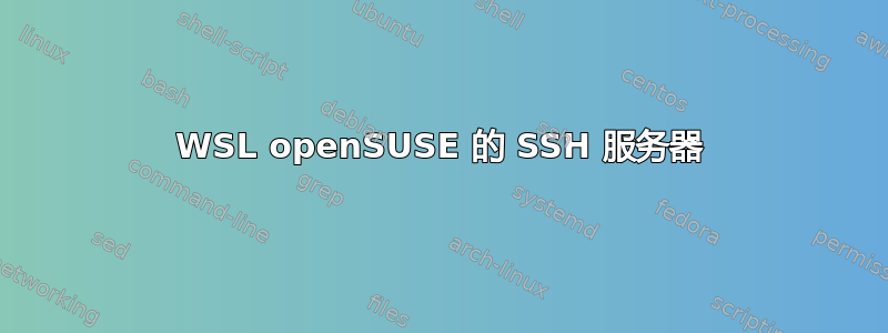 WSL openSUSE 的 SSH 服务器