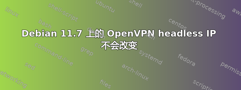 Debian 11.7 上的 OpenVPN headless IP 不会改变