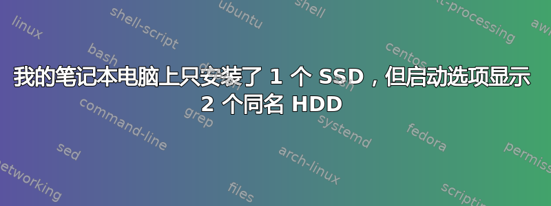 我的笔记本电脑上只安装了 1 个 SSD，但启动选项显示 2 个同名 HDD