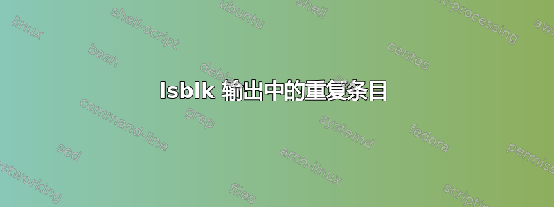 lsblk 输出中的重复条目